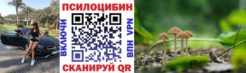 хочу наркоту  Тетюши  Галлюциногенные грибы MAGIC MUSHROOMS 